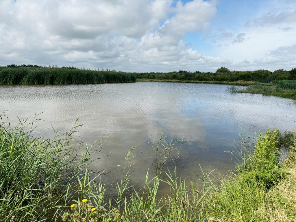 Lot: 163 - APPROXIMATELY NINE ACRES LAND INCORPORATING FLIGHT POND IN IDYLLIC LOCATION - View of flight pond 5